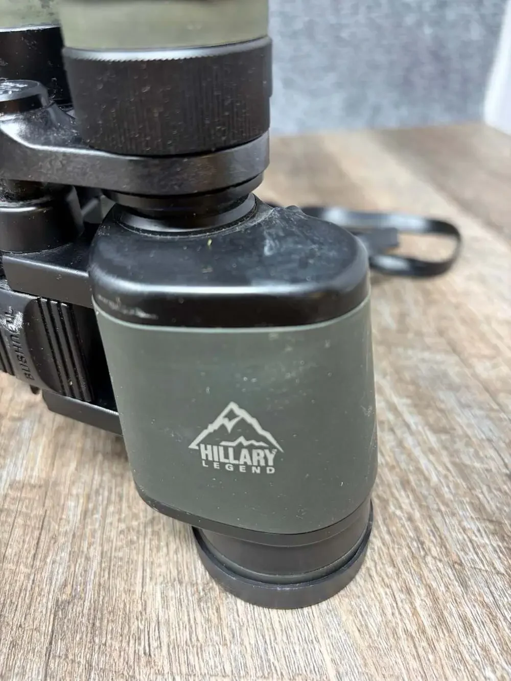 Bushnell hillary legend